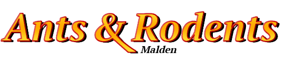 Malden Ant Exterminator & Rodent Control Company Logo